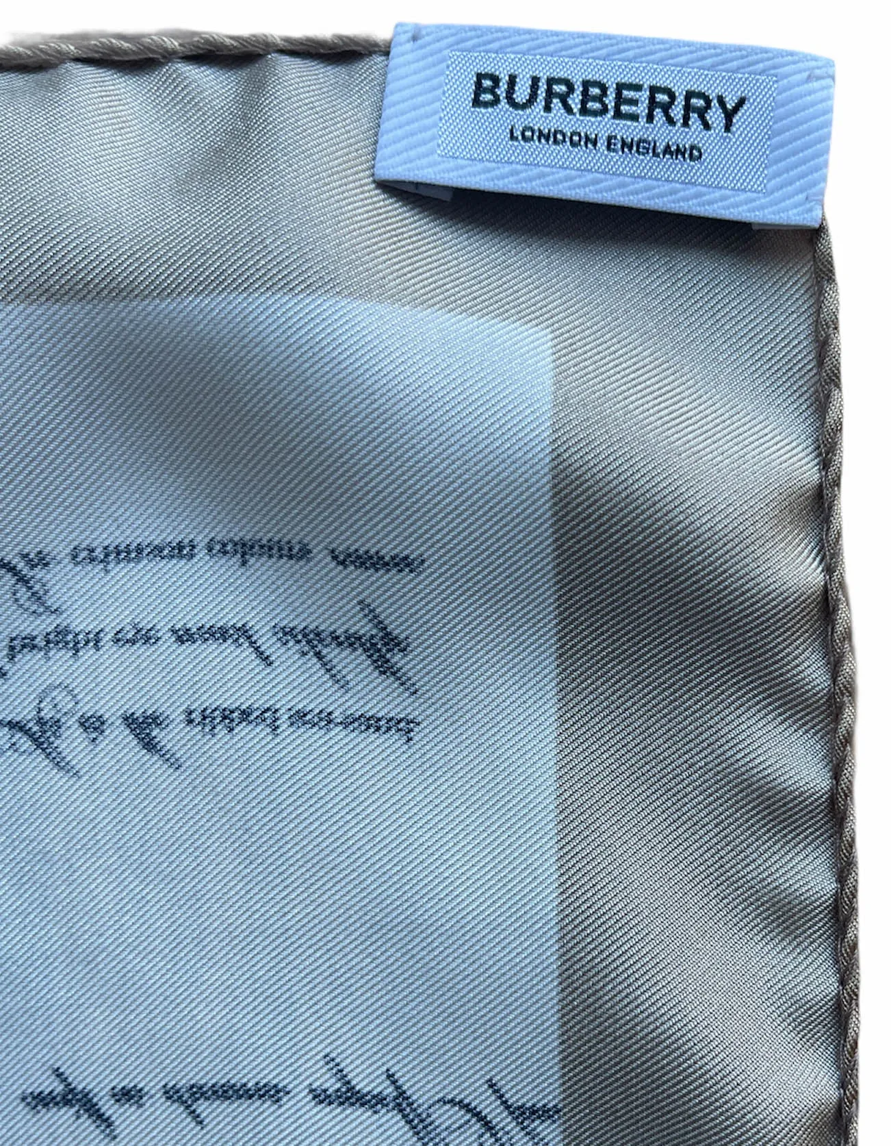 Burberry Oyster, Monogram & Mariner Print Silk Scarf