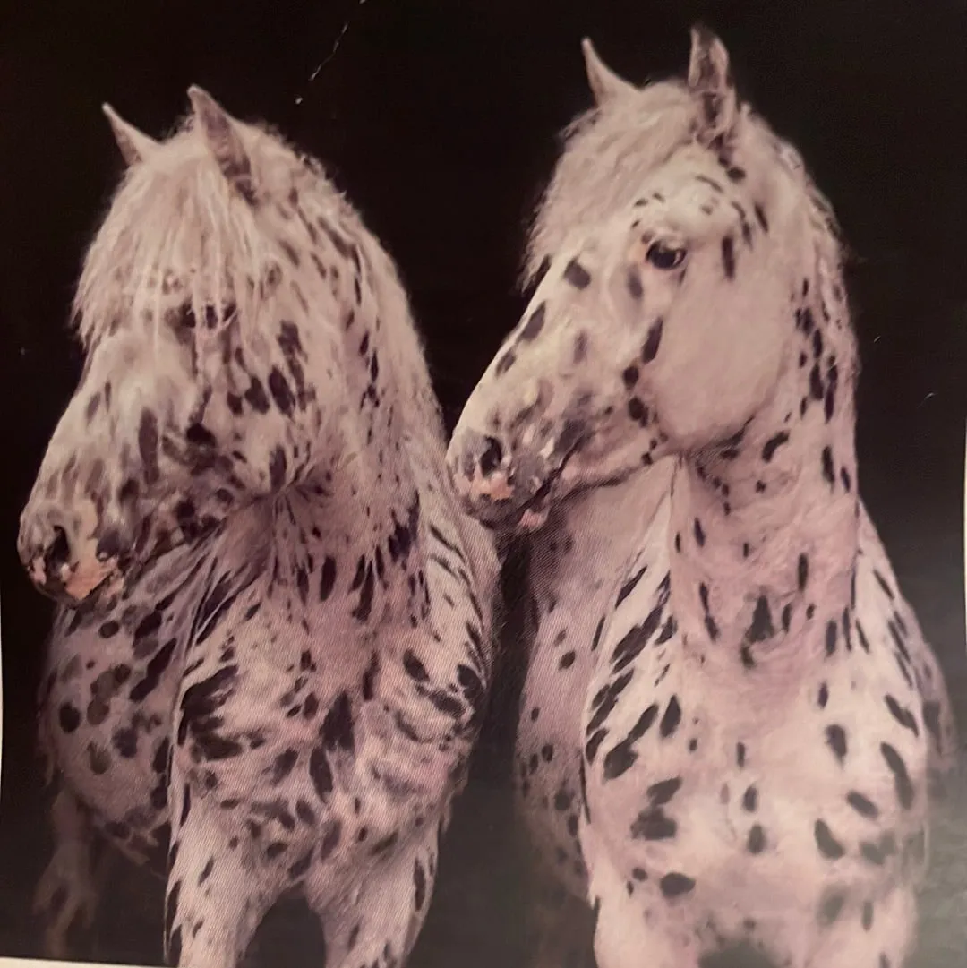 CLRL-36"-0223 Ranch-Life Wild Rags 100% Silk