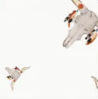 Cowboy Images Accessory: Scarf Charmeuse Print Western Longhorns
