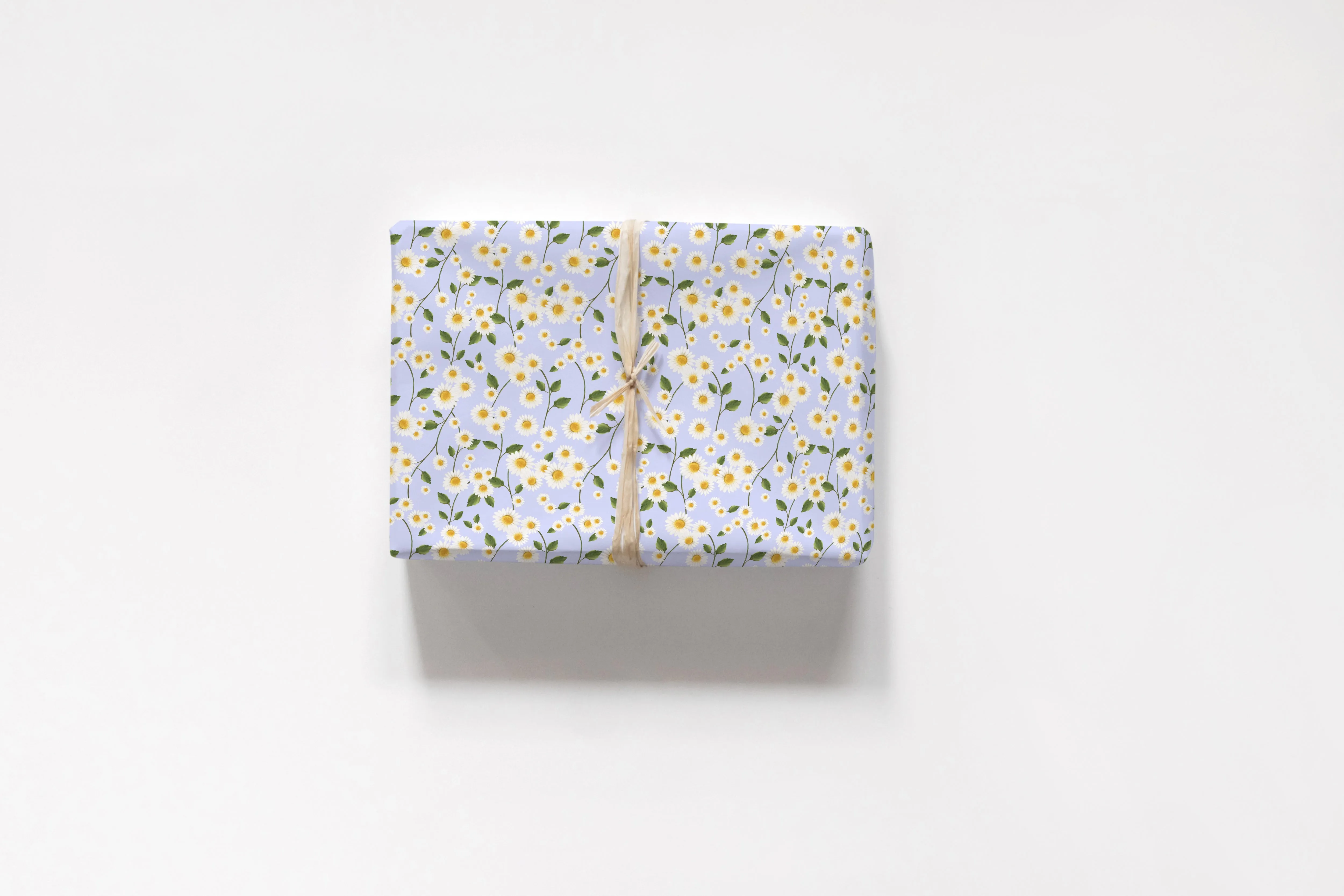 Daisy Flowers in Blue Wrapping Paper - 5 Sheets