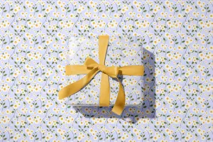 Daisy Flowers in Blue Wrapping Paper - 5 Sheets