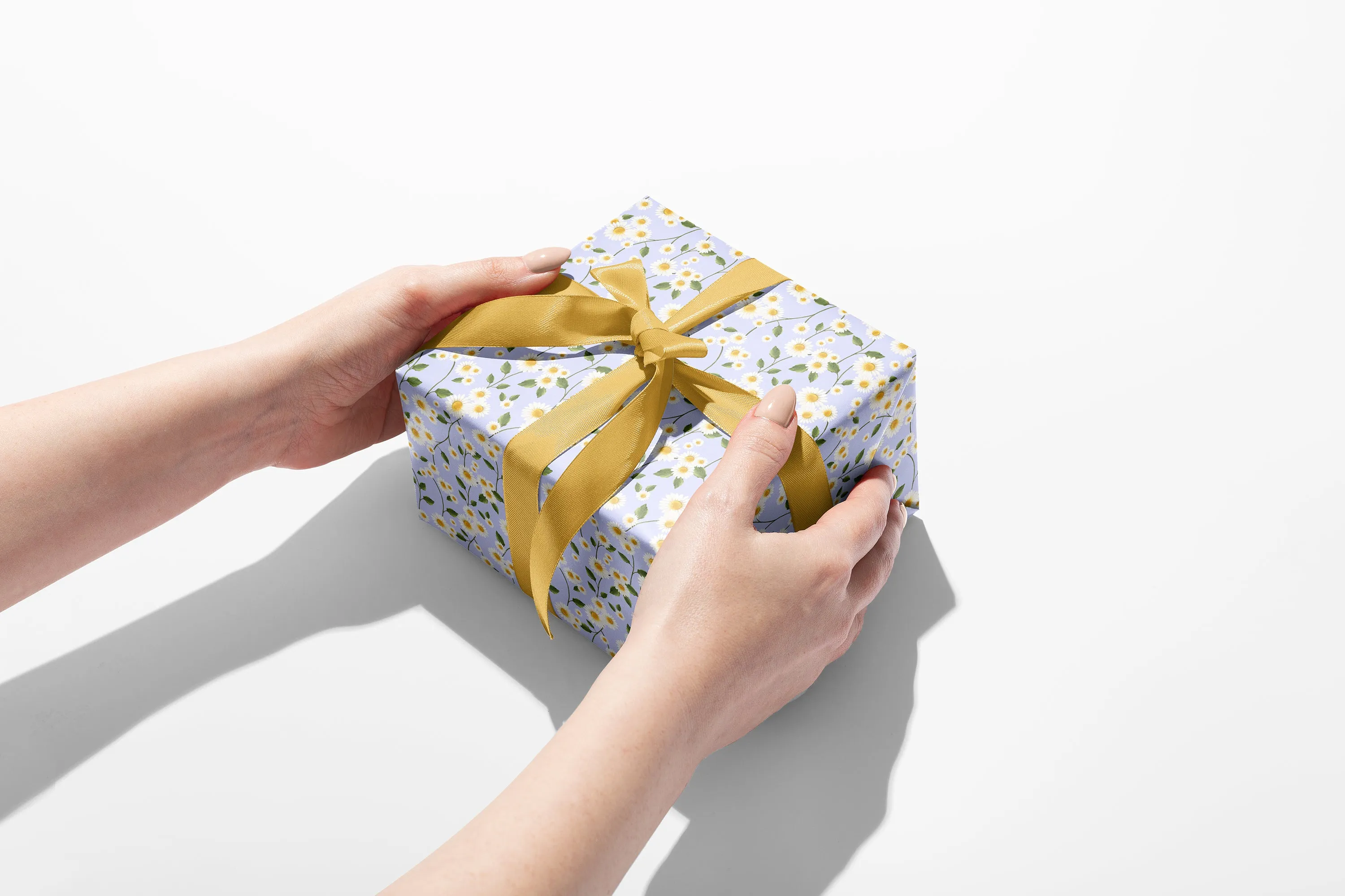 Daisy Flowers in Blue Wrapping Paper - 5 Sheets