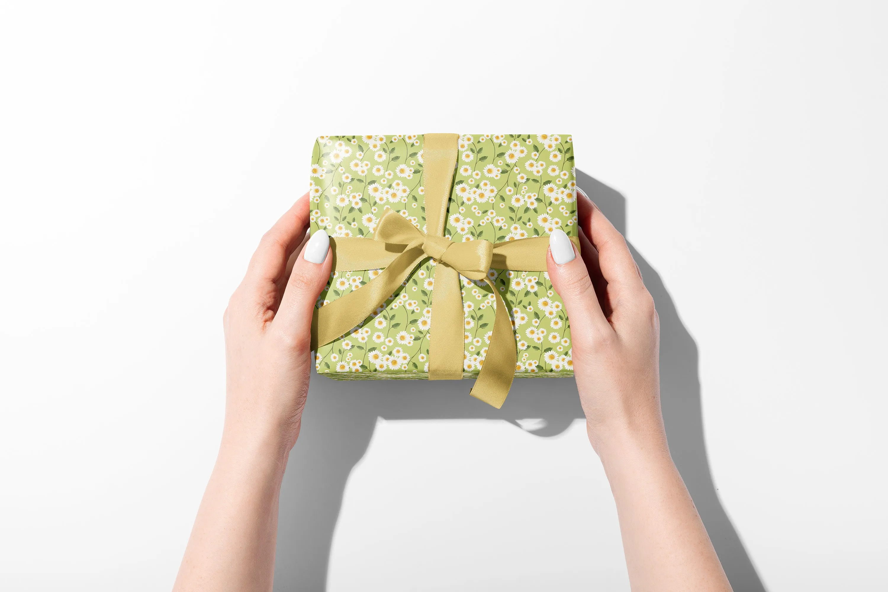 Daisy Flowers in Green Wrapping Paper - 5 Sheets