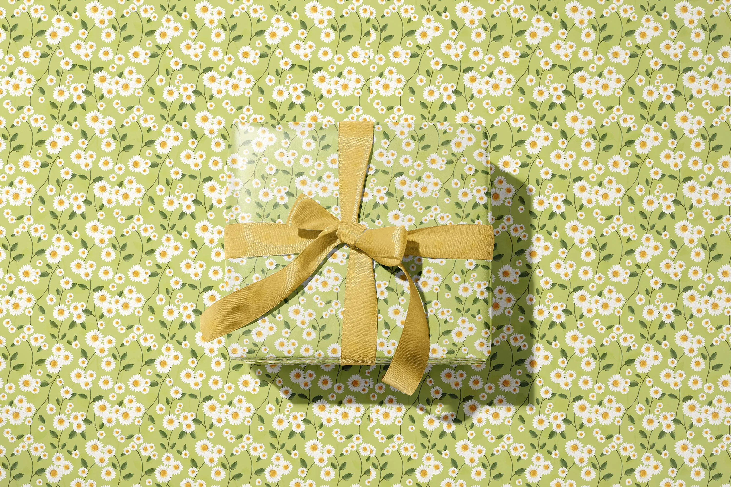 Daisy Flowers in Green Wrapping Paper - 5 Sheets