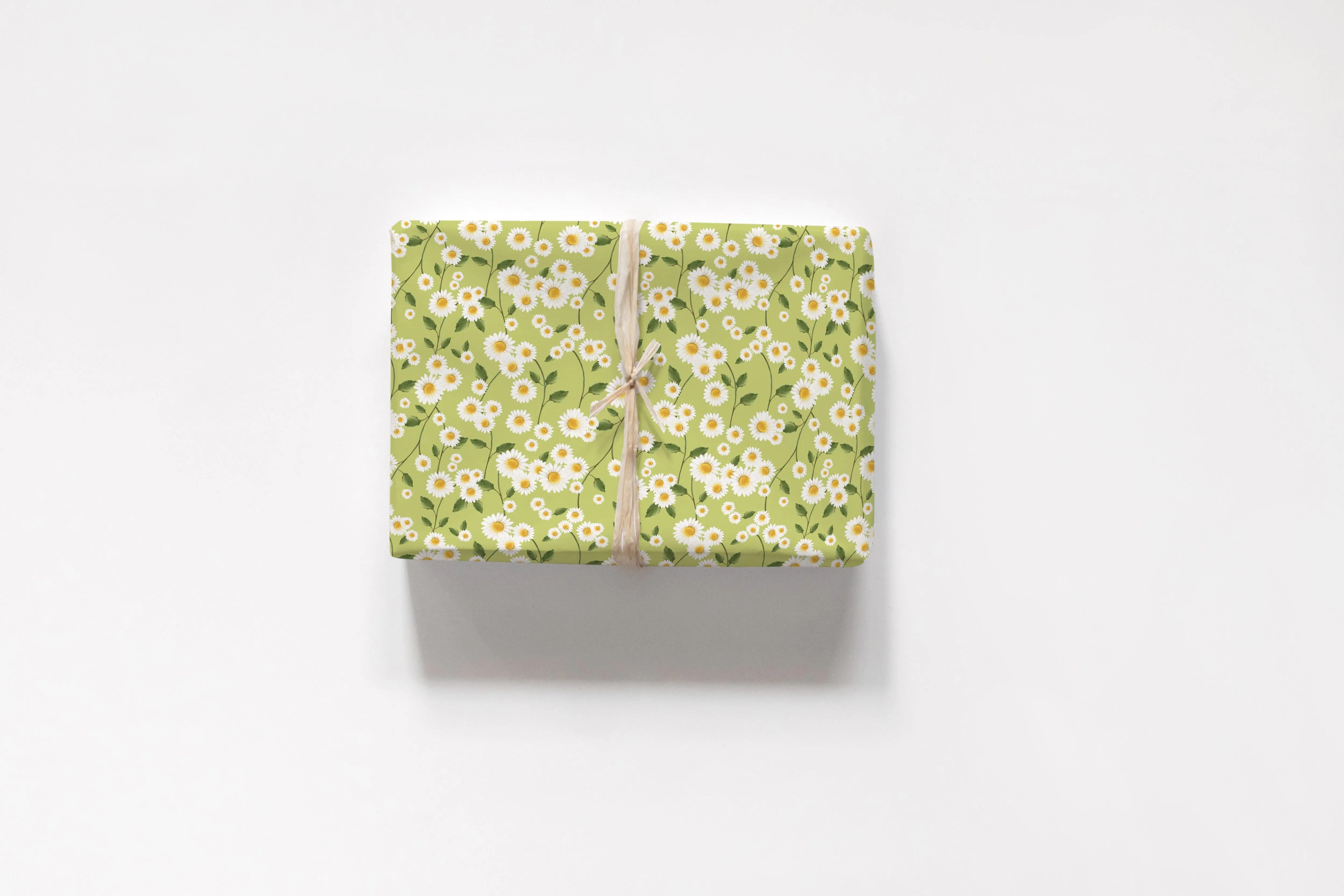 Daisy Flowers in Green Wrapping Paper - 5 Sheets