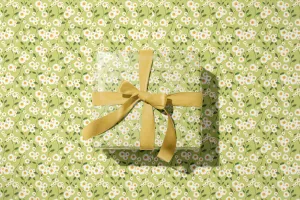 Daisy Flowers in Green Wrapping Paper - 5 Sheets