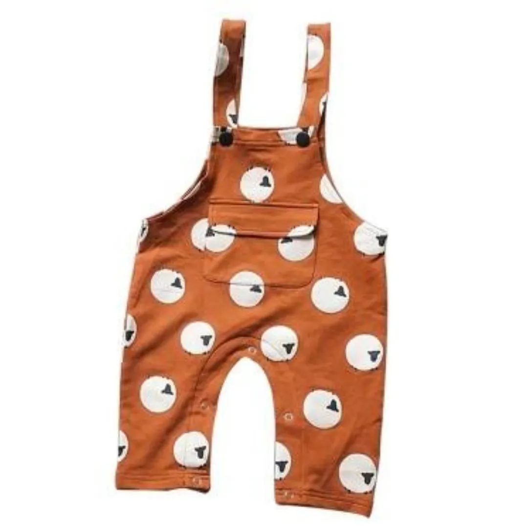 Eco-Friendly Cotton Baby Dungarees 2Y-3Y
