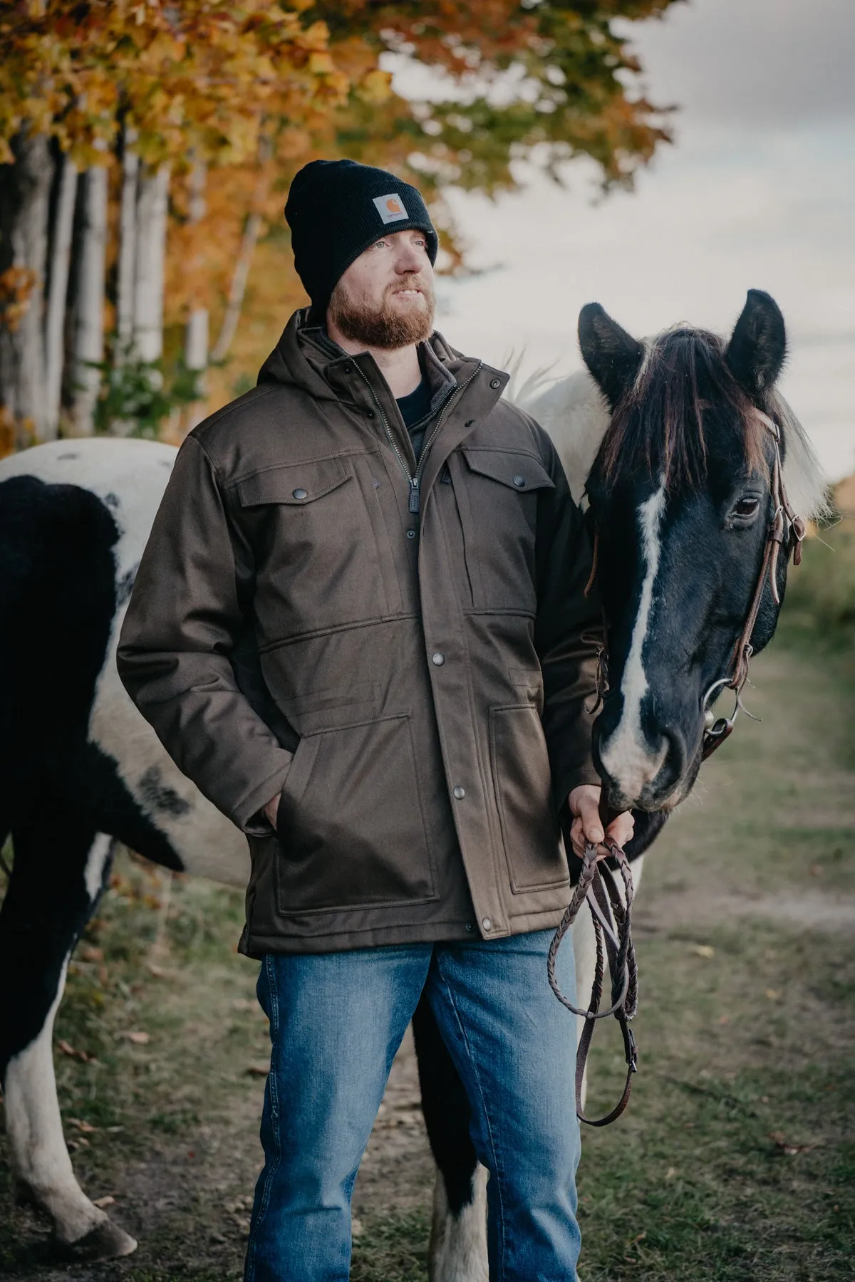 'Everglade' Mens Ariat Abilene Parka (L-XXL)