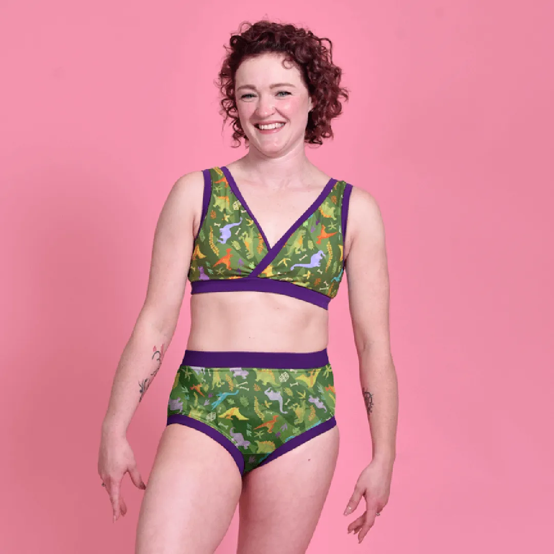 High Rise Briefs - Dino