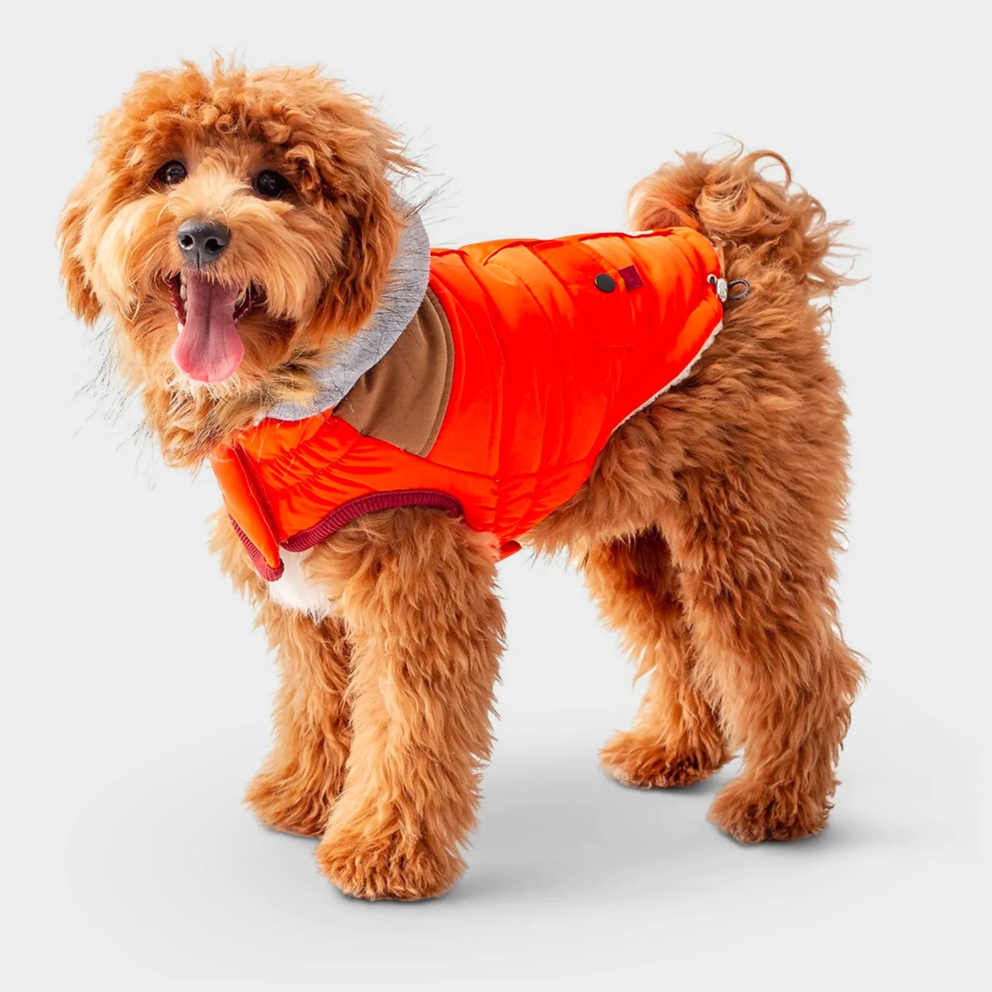 Lodge Parka Dog Coat | Orange