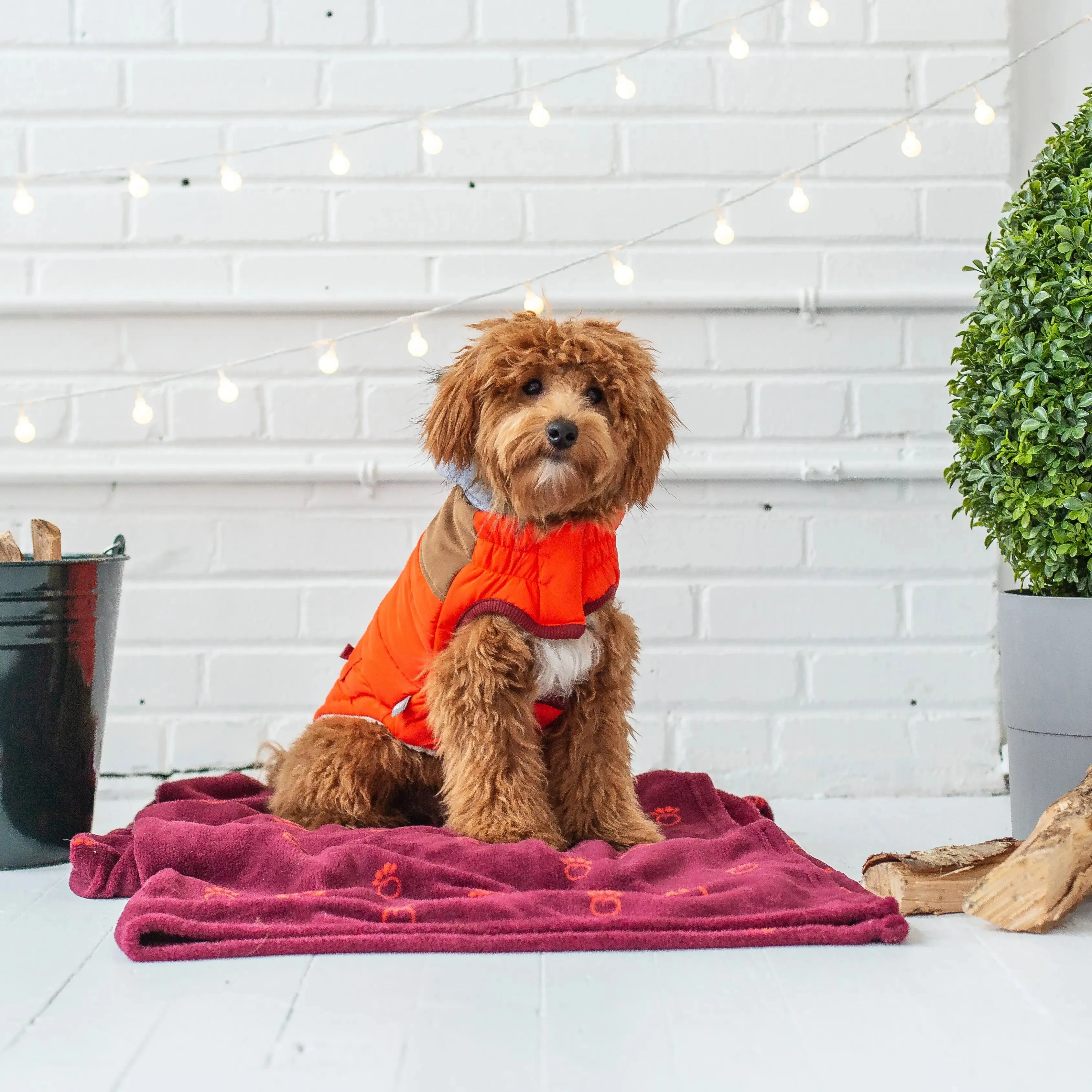 Lodge Parka Dog Coat | Orange