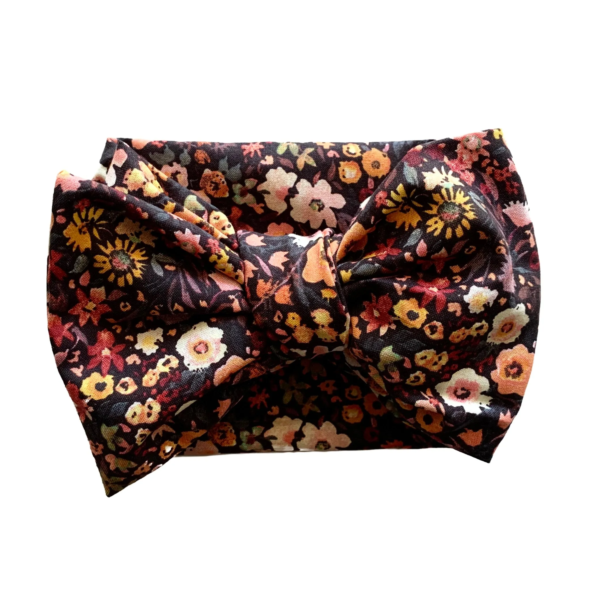 Paisley
