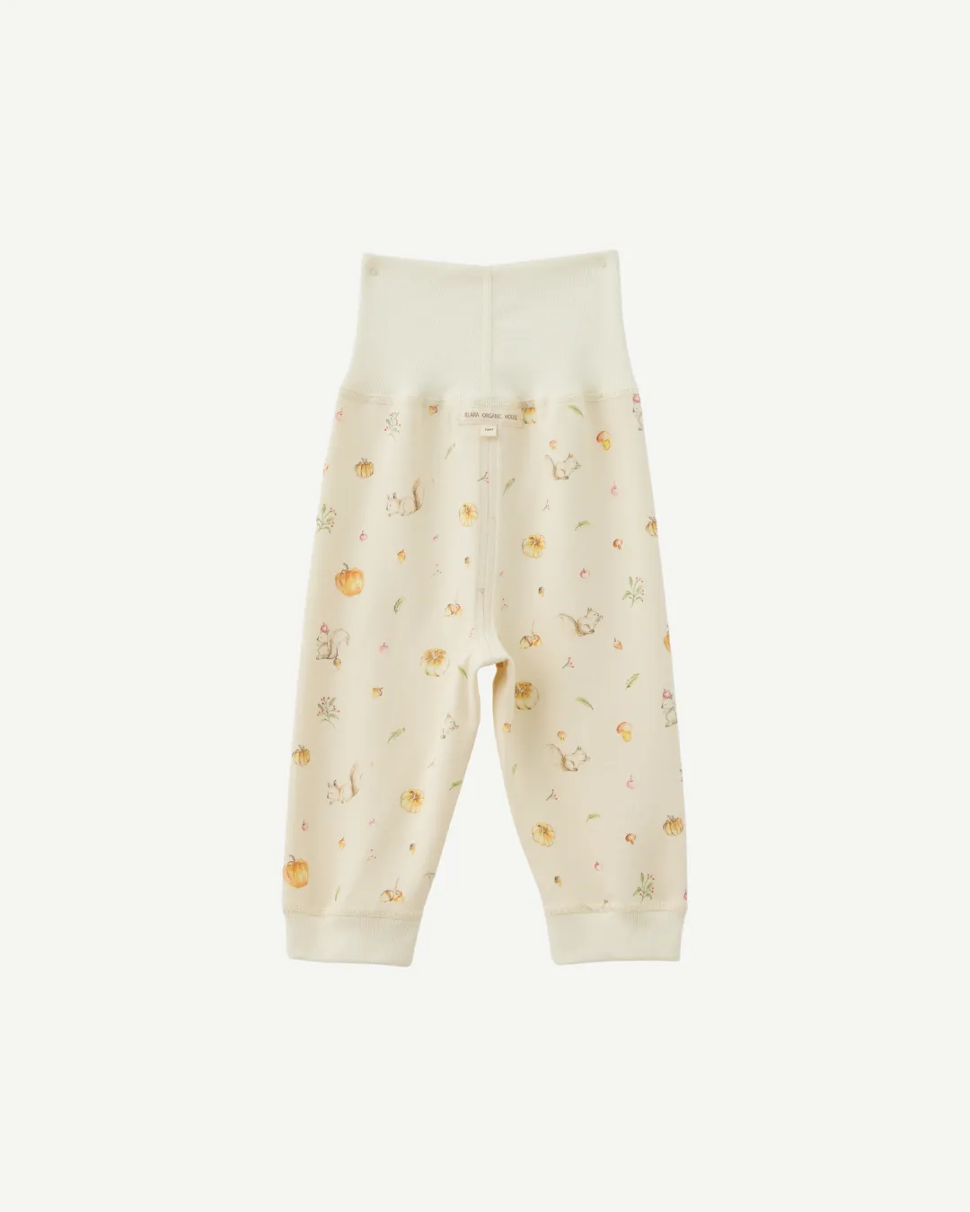 Pants - Squirrel Print