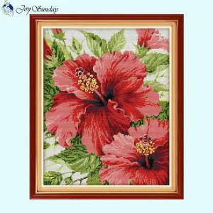 Red Hibiscus