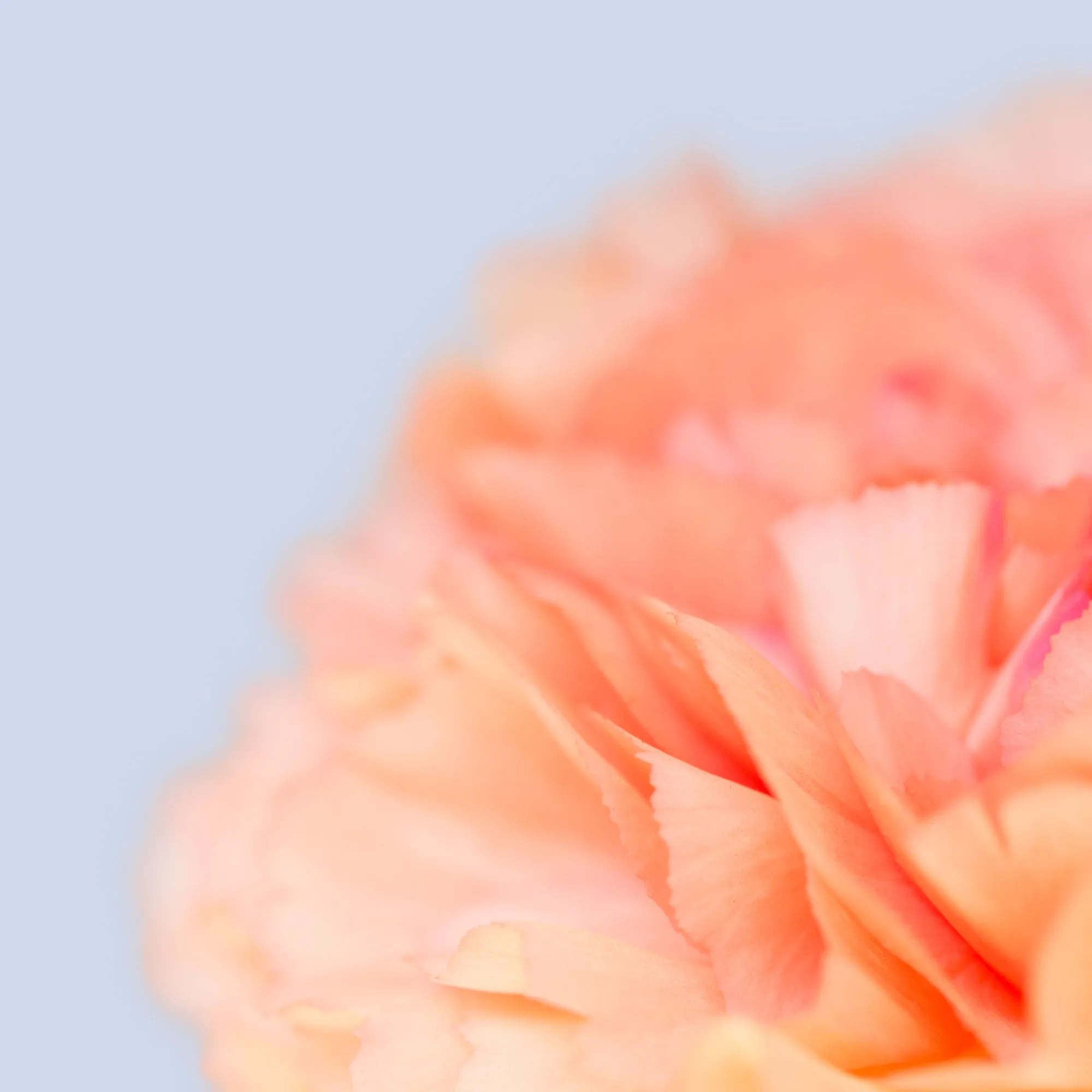 Silk Cotton Kaftan Flower