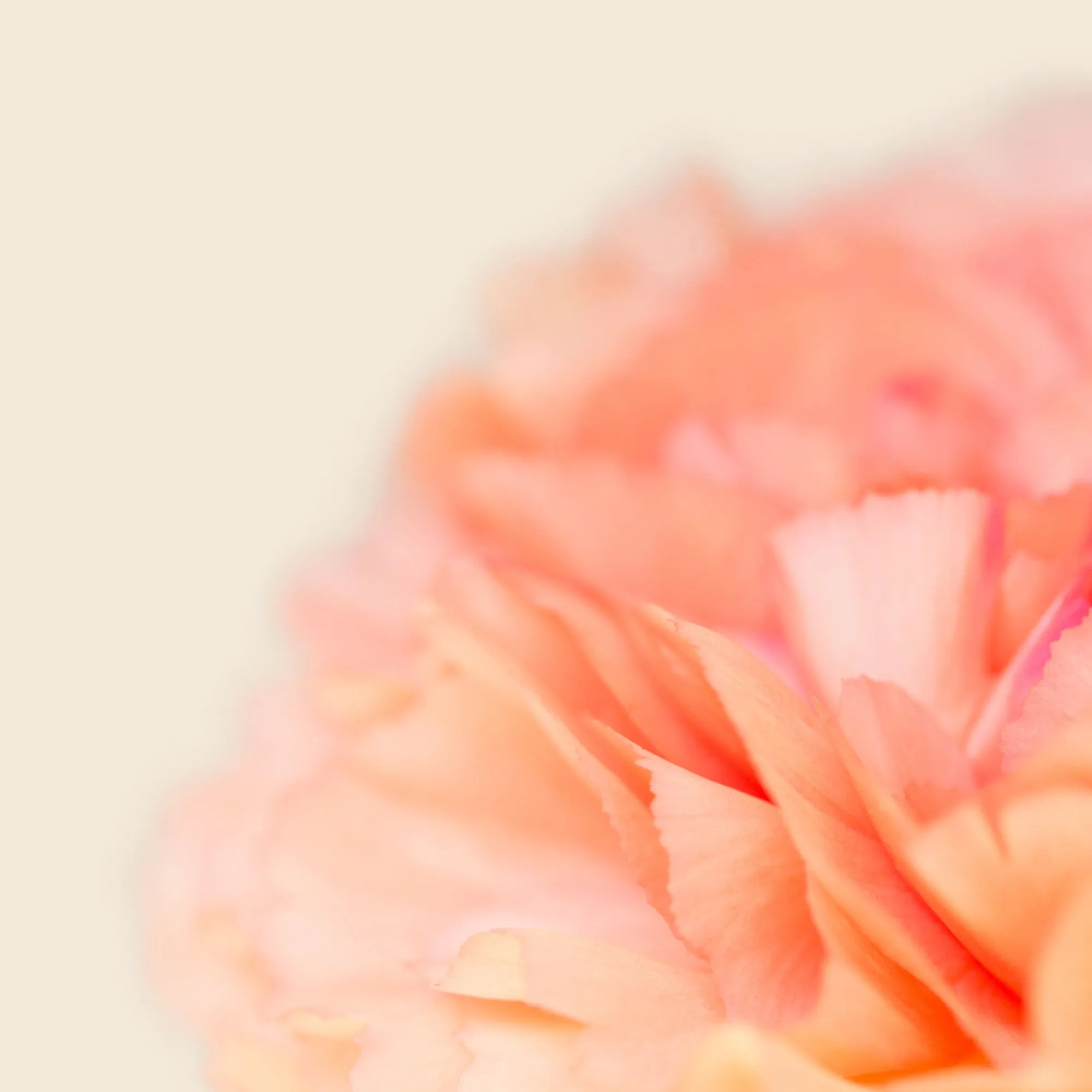 Silk Cotton Kaftan Flower