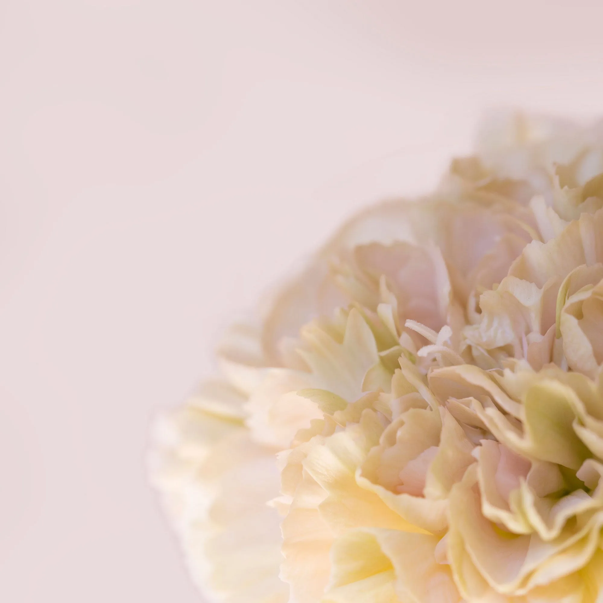 Silk Cotton Kaftan Flower