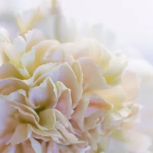 Silk Cotton Kaftan Flower