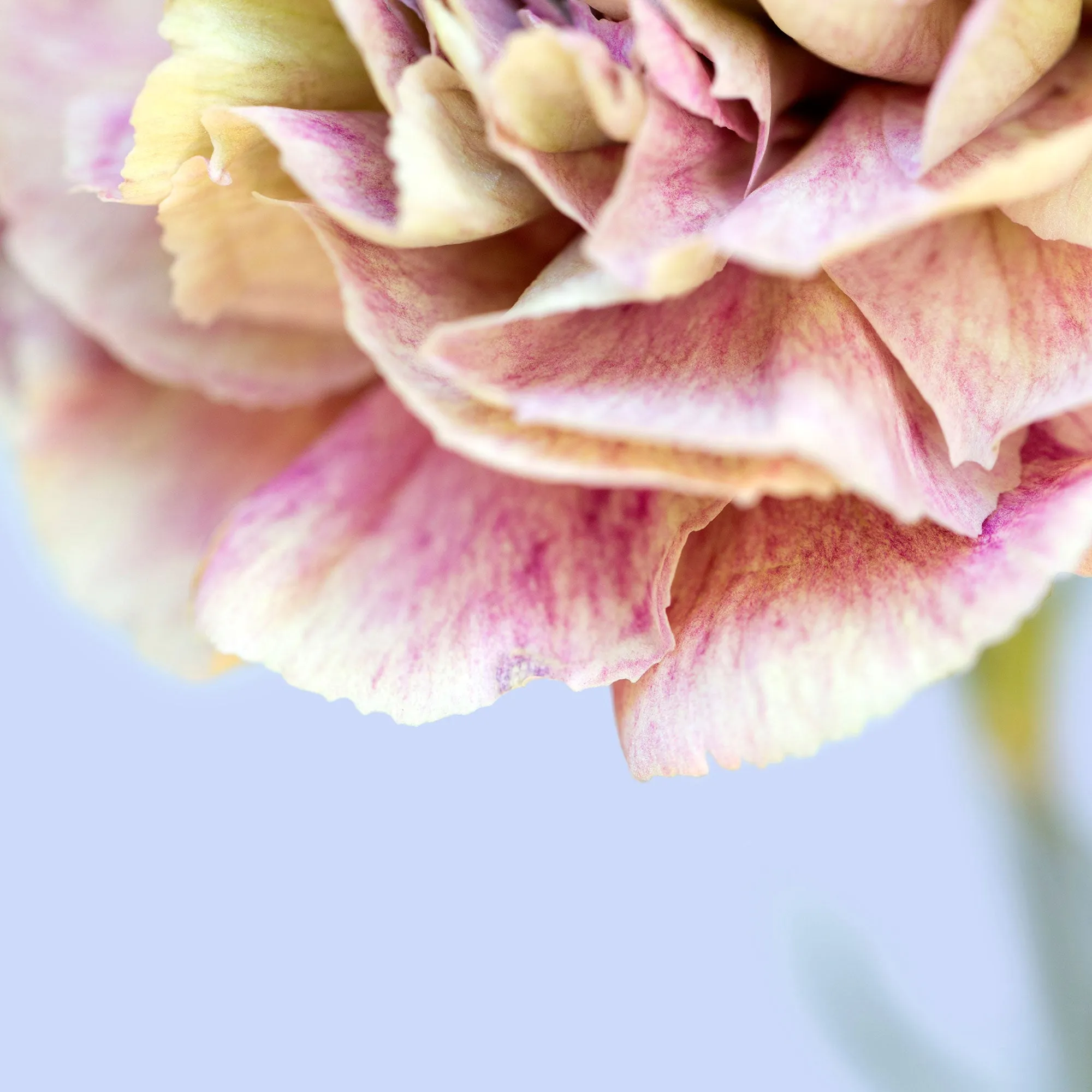 Silk Cotton Kaftan Flower