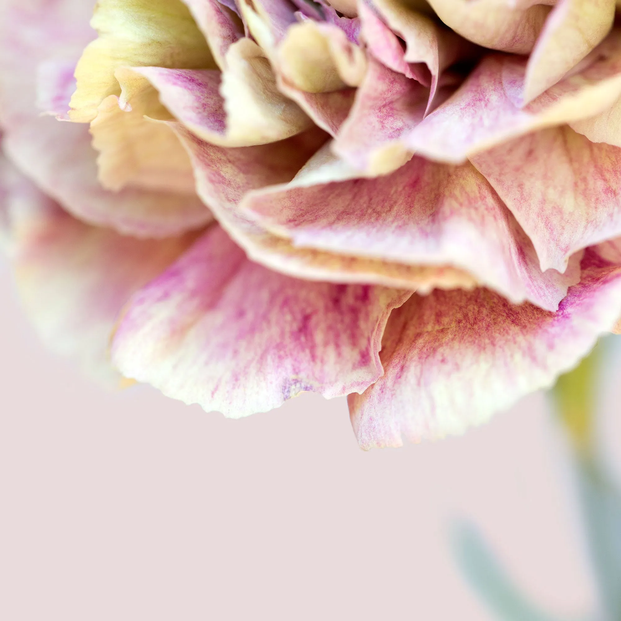 Silk Cotton Kaftan Flower