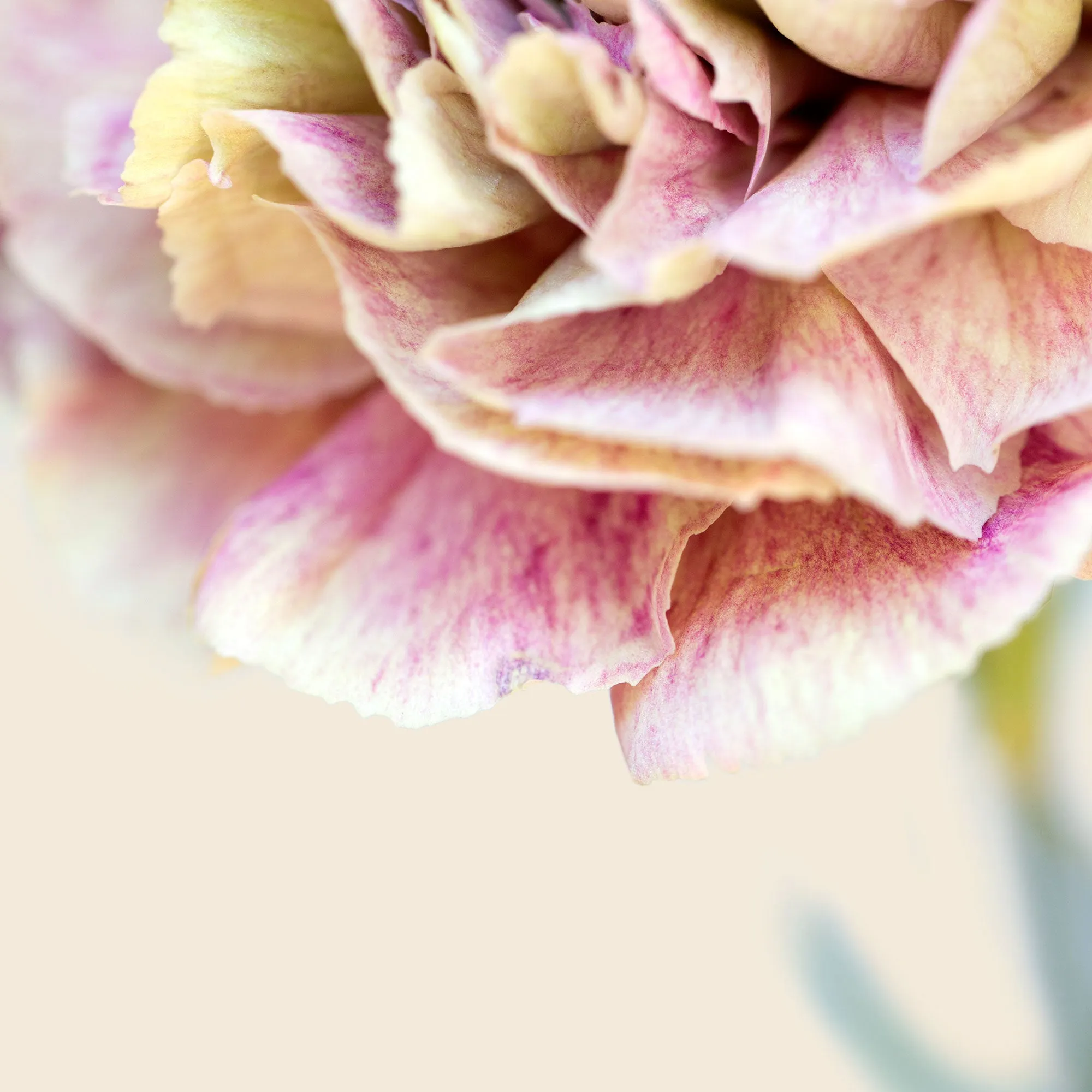 Silk Cotton Kaftan Flower