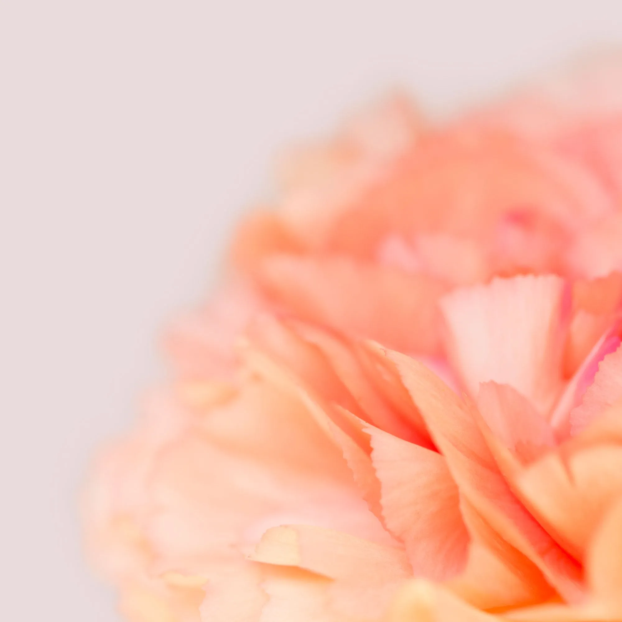 Silk Cotton Kaftan Flower