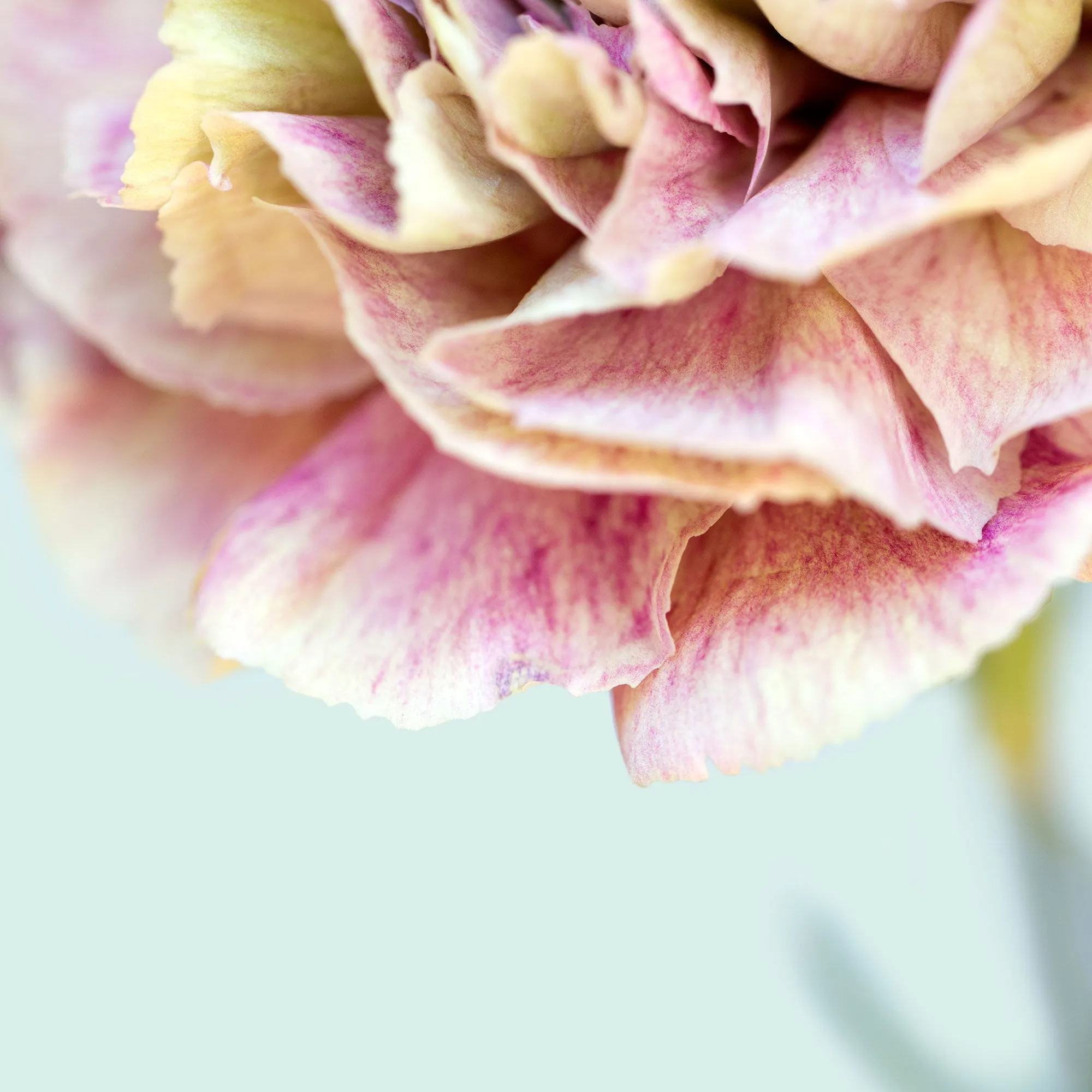 Silk Cotton Kaftan Flower