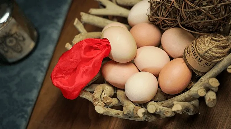 SILK TO EGG by TCC