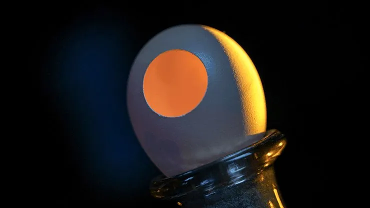 SILK TO EGG by TCC