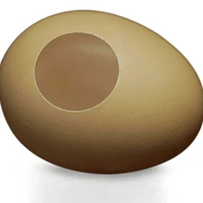 SILK TO EGG by TCC