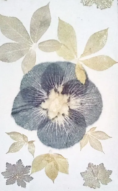 THE MAGIC OF ECO-PRINTING II 2 DAY WORKSHOP WITH DIANE KUEHN