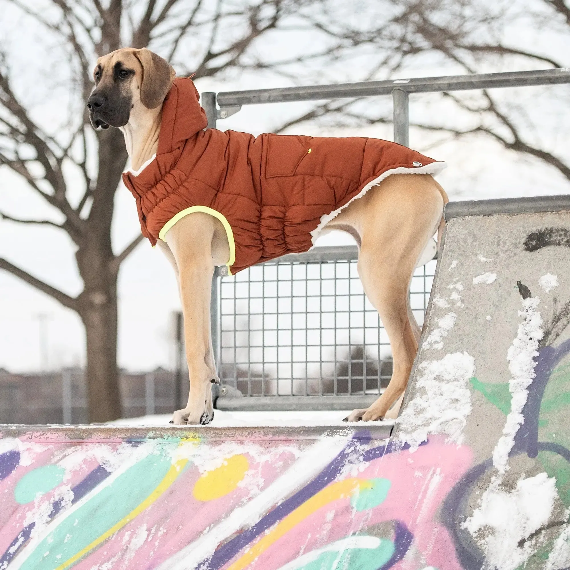 The Puff Dog Parka | Hazel