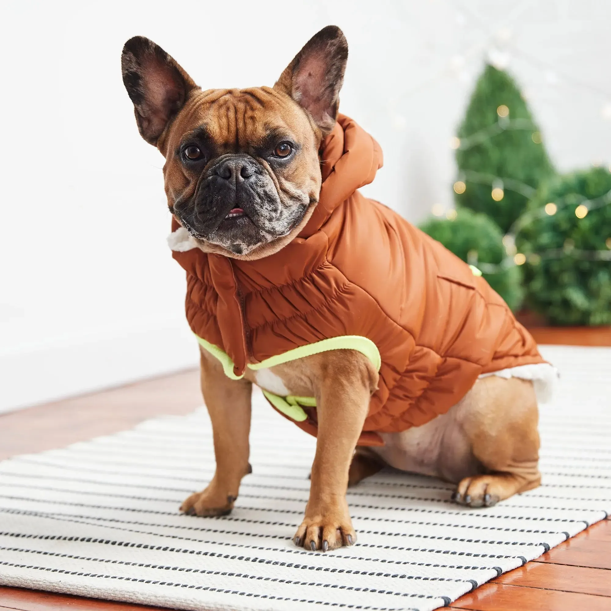 The Puff Dog Parka | Hazel