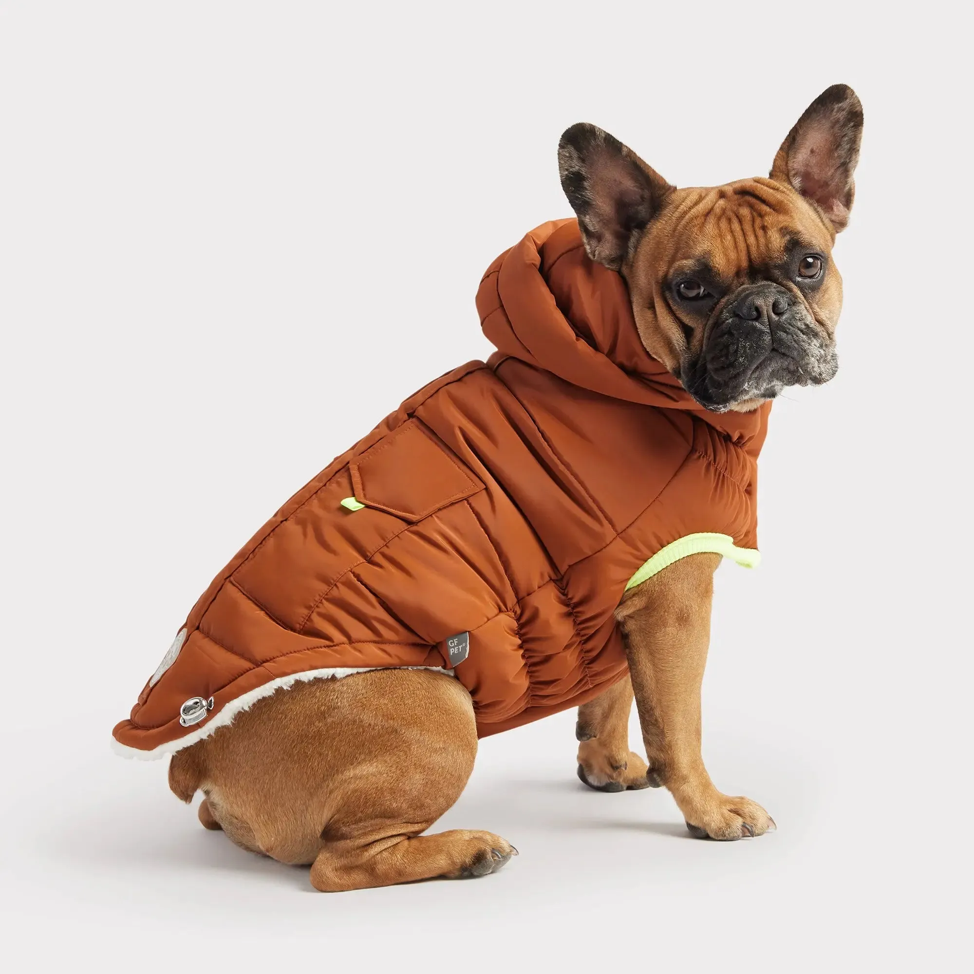 The Puff Dog Parka | Hazel