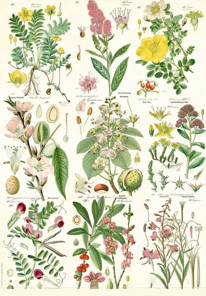 Woodland Floral Wrapping Paper Book