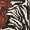 Zebra Multi Print Wrap Dress